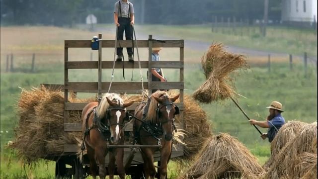 ?ВПЕРВЫЕ на YouTube?НЕВЕСТА ХОЗЯИНА ГОСТИНИЦЫ?Ч-2. Христианские рассказы. Истории из жизни. смотреть онлайн