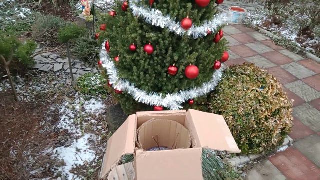 Квіткова мрія збулася!🤩Вона моя!#гортензіяФрамбосініРенсам#украденаназва смотреть онлайн