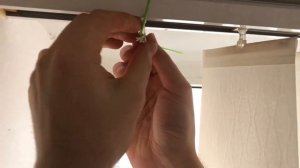 ремонт вертикальных жалюзей