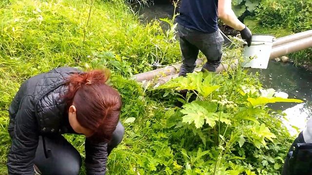 Отбор проб поверхностных вод, река Лесная (18.07.2017) смотреть онлайн