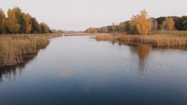 Уловистое тесто для ловли плотвы как со льда, так и по открытой воде. смотреть онлайн