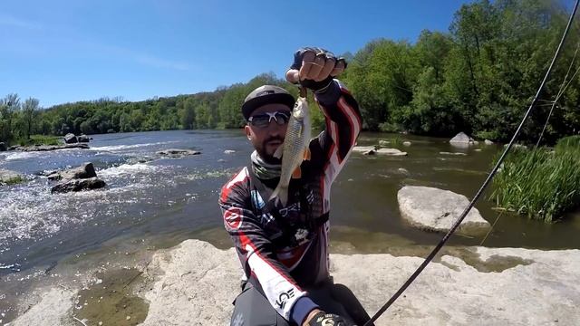 Ловля голавля и жереха на перекатах Южного Буга. Favorite Team смотреть онлайн