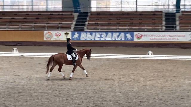 Skripka 🎻 выездка 71,4% смотреть онлайн