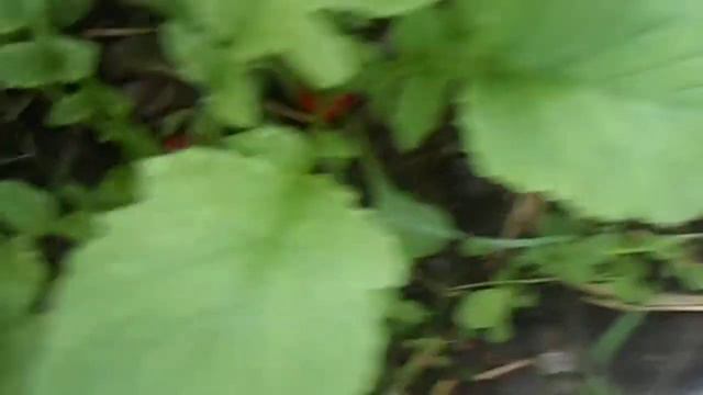 Ждали тепло а пришло!!!.. смотреть онлайн