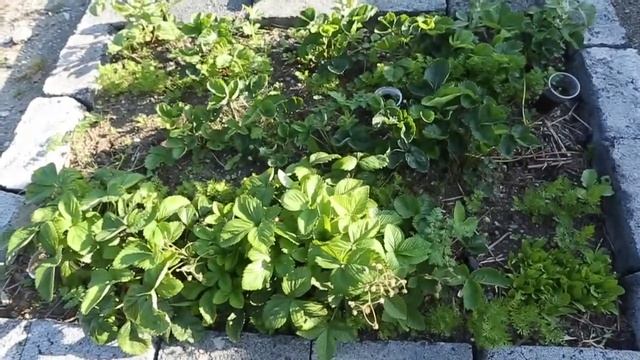 А что на улице НА САХАЛИНЕ в июле? смотреть онлайн