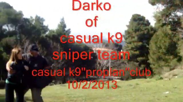 Cane Corso at casual k9''proplan''club смотреть онлайн