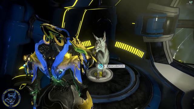 Warframe: KUJO Has Awakened | My "Free" Chesa Kubrow Is... смотреть онлайн