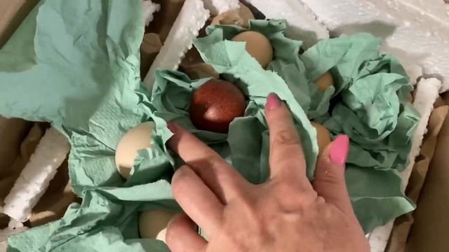 Желания должны сбываться смотреть онлайн