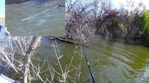 Бузан. Ловля сазана на летний кивок.