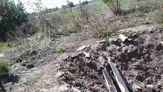 Дом Сани Чайки. смотреть онлайн