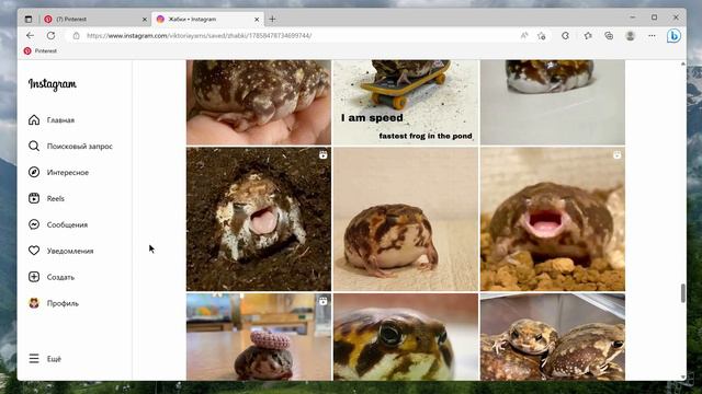 Рефы и первые скетчи для стикеров the Absurd Rain Frog