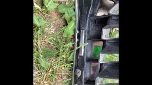 Как снять решётку радиатора на Шкоду Октавию А5