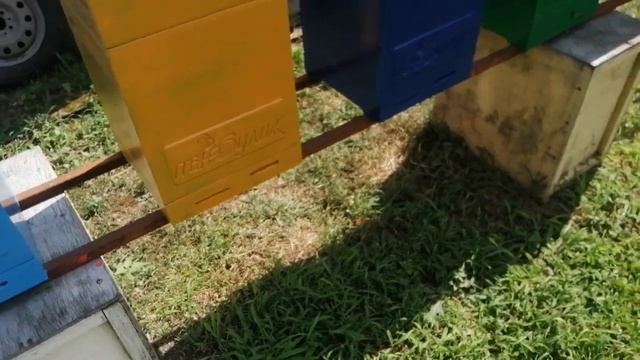 Плохие улья для пчёл !! Каждому свое..Свои матки на пасеке. смотреть онлайн