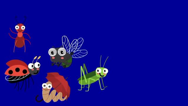 Bugs Insects Song | Shapes Color Number | Kitchen Pretend Play