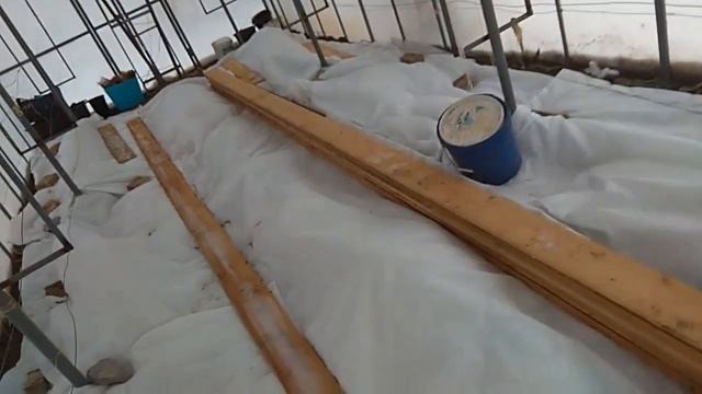 Укрытие винограда в теплице одеялами смотреть онлайн