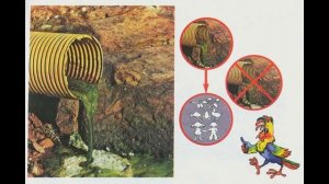 Окружающий мир 2 класс ч.1, тема урока "...И про воду", с.52-55, Школа России