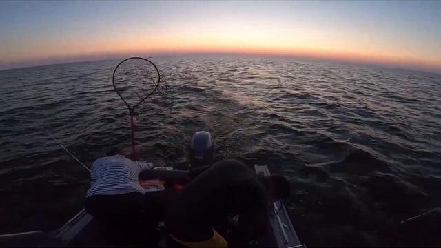 Троллинг судака. Ловля судака на Ладоге. Троллинг на Ладоге. База Креницы. смотреть онлайн