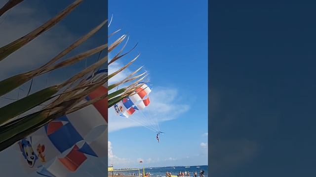 Полёт над морем.Сиде, пляж Чолаклы. #Турция #shorts смотреть онлайн