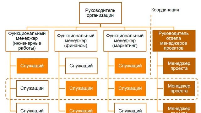 Организационная структура проектного управления смотреть онлайн