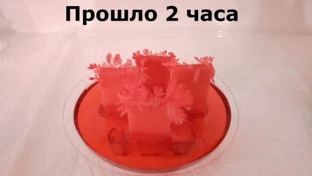 ВЫРАЩИВАЕМ ЛУЧИСТЫЕ КРИСТАЛЛЫ//ФИКС ПРАЙС// смотреть онлайн