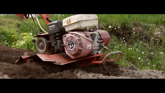 Мотоблок салют