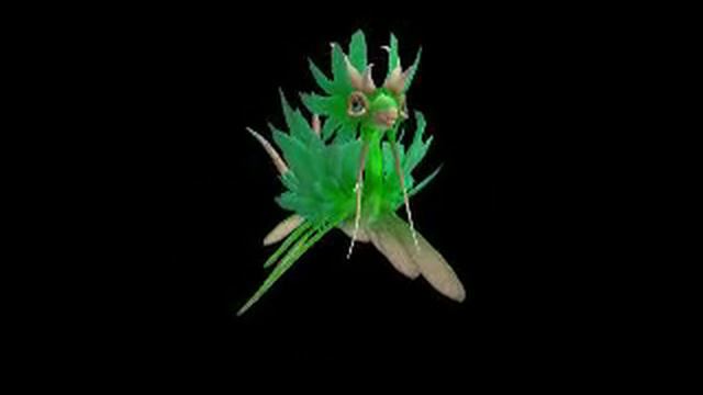 Spore Creature Qui Gon Gen смотреть онлайн