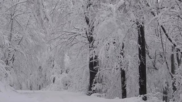 Sonnet 97 William Shakespeare смотреть онлайн