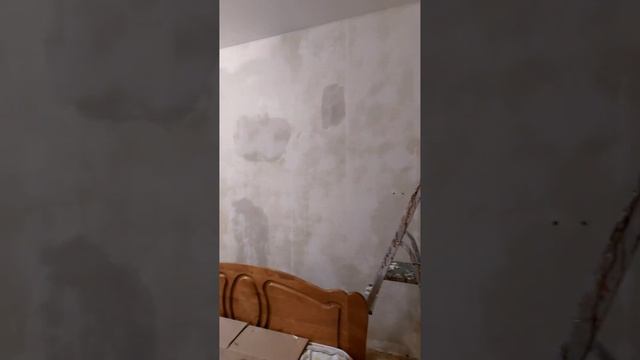 Как легко и быстро удалить со стен бумажные обои. Самый простой способ из 100 лайфхаков. смотреть онлайн