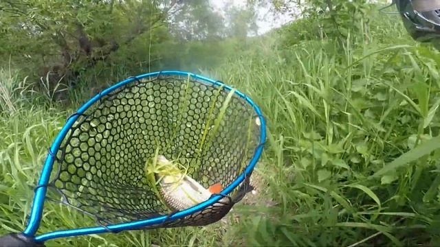 Где и как ловить ГОЛАВЛЯ весной на спиннинг? Воблер на ГОЛАВЛЯ весной! Весенний голавль! Рыбалка ма смотреть онлайн