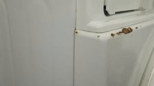 Стиральная машина автомат SAMSUNG DIGITAL INVERTER techology   полтора года эксплуатации  .