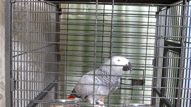 На лабутенах на... смотреть онлайн