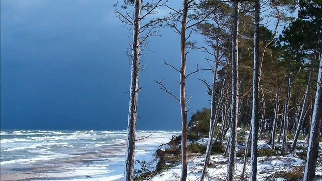 Сотвори, во мне сердце мудрое смотреть онлайн