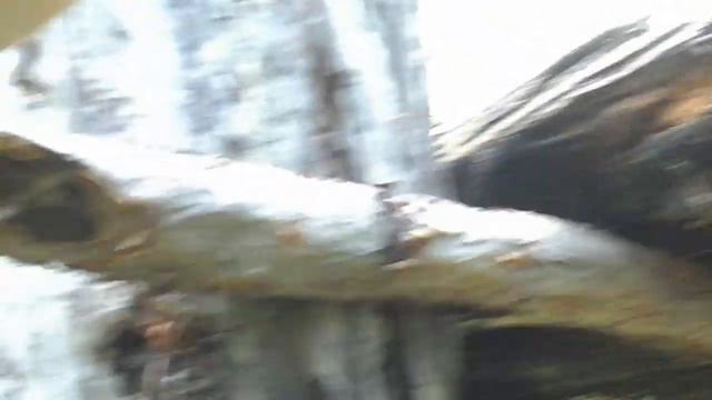 Ну думаю не буду говорить ,Но бинокль так и не вернули,Вот как я теперь соболя высматривать буду 😦 смотреть онлайн