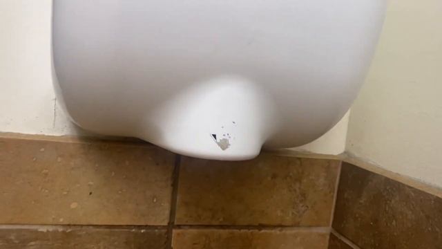 (R2) 2016 Excel Dryer XLERATOR | T.J. Maxx | Greenville, SC смотреть онлайн
