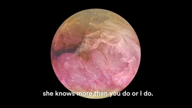 Esa-Pekka Salonen describes LAILA смотреть онлайн