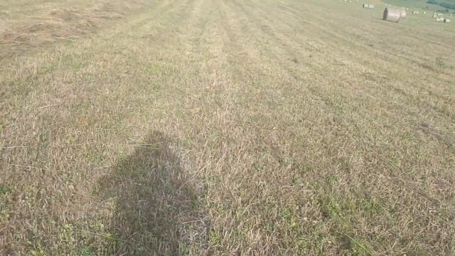 Сенокос, разгрузка рулонов ▶ Отвечаю на вопросы смотреть онлайн