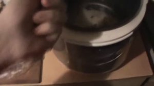 Рисовая каша в мультиварке Panasonic