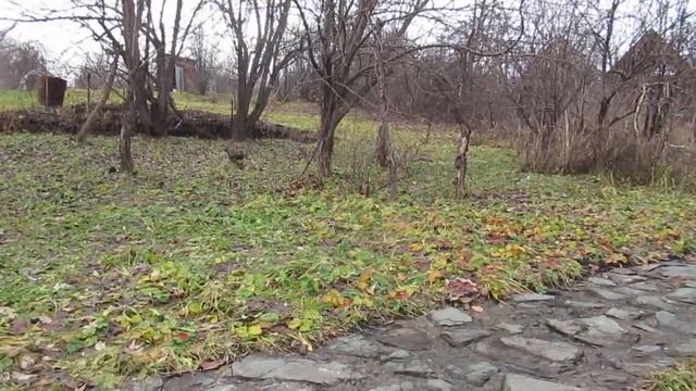 Привет, Господин!