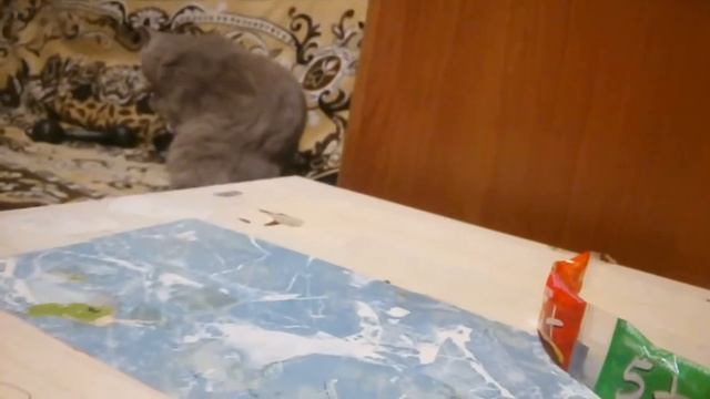 Обзор конфеты "5+" конфетная змея !! смотреть онлайн