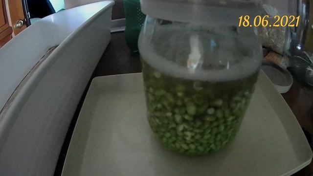 Посылка от Ильинские травы. Азиатская фасоль Маш. Как я проращиваю и готовлю Маш. Купить Маш оптом смотреть онлайн