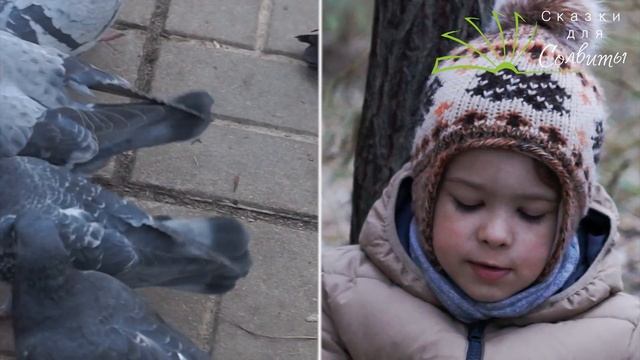 Почему голуби к Олегу прилетели? | Василий Сухомлинский | Рассказы для детей смотреть онлайн