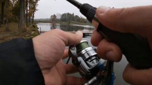 ЛОВЛЯ ФОРЕЛИ НА СПИННИНГ. РЫБАЛКА НА ФОРЕЛЬ ОСЕНЬЮ НА ПЛАТНИКЕ