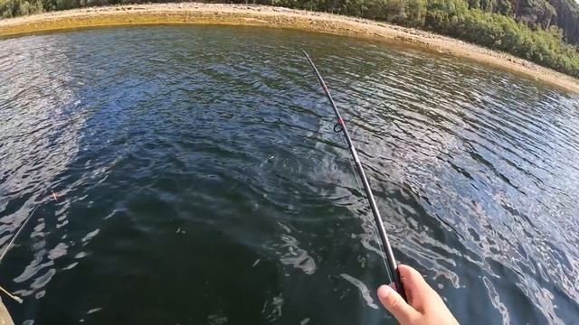 НАРВАЛИСЬ НА КОСЯК ГОРБУШИ / THE BEST PINK FISHING смотреть онлайн