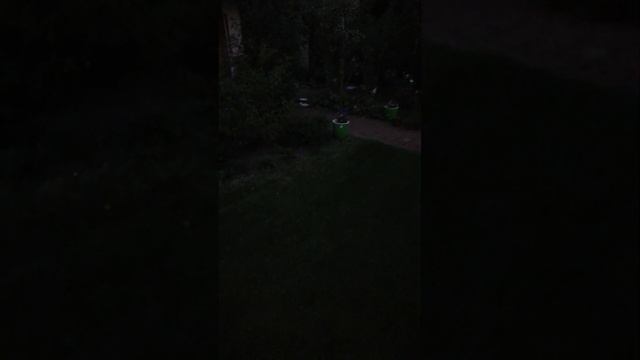 дачные коты 2023 сентябрь серия 2