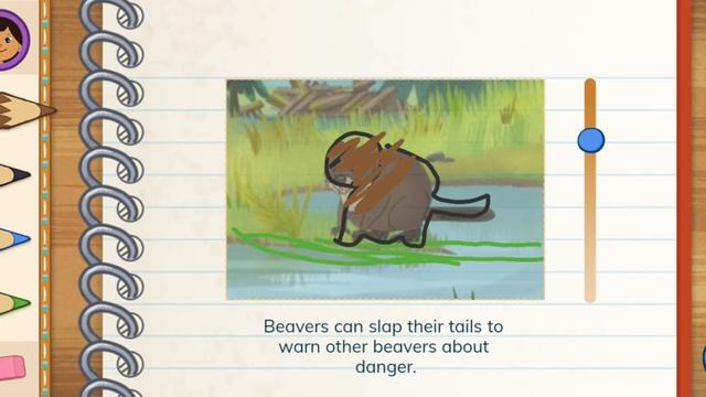 Molly of Denali: Alaskan Adventure Learn Nature and Community Game Review 1080p Official PBS KIDS смотреть онлайн