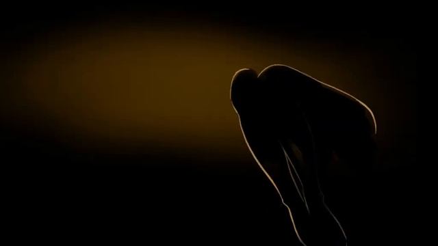 Женские силуэты (анимация)