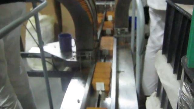 Упаковка печенья стопками на горизонтальной упаковочной машине ZE-350DS (HDL350BD) смотреть онлайн