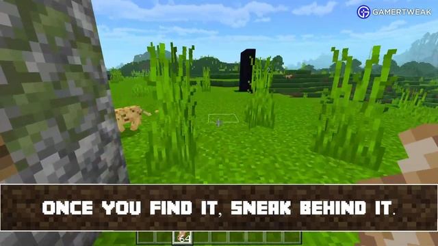 How To Tame An Ocelot In Minecraft 1.19 смотреть онлайн