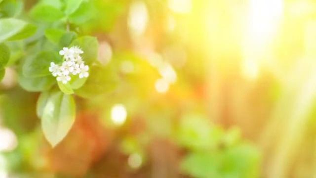 Расслабляющая фортепианная музыка • Музыка для сна, музыка для медитации, фоновая музыка, учебная м