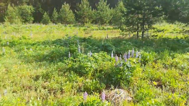 Строительные Изыски